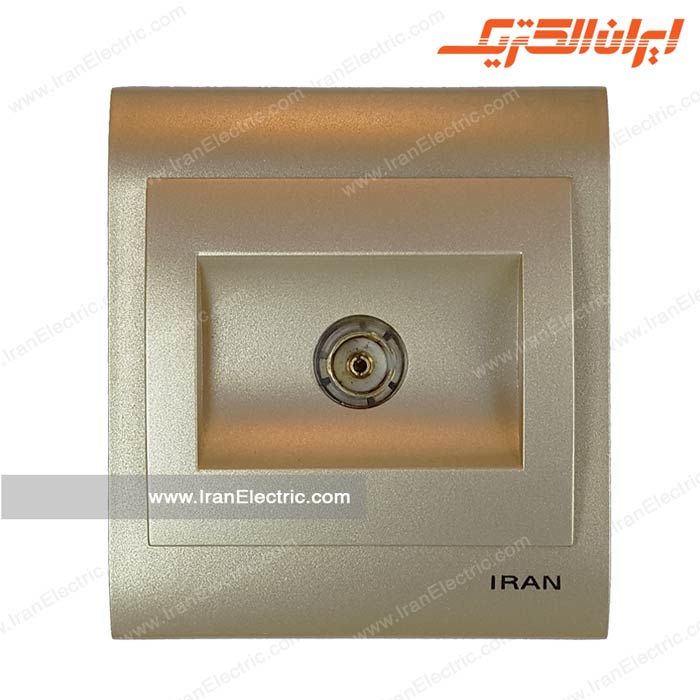 فیش آنتن ایران بژ