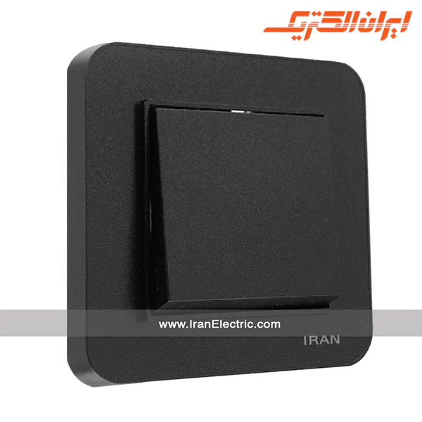 تبدیل ارس مشکی